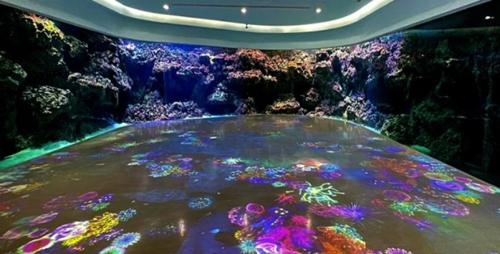 Guests can explore dynamic marine environments and discover the ocean’s diversity and ecosystems